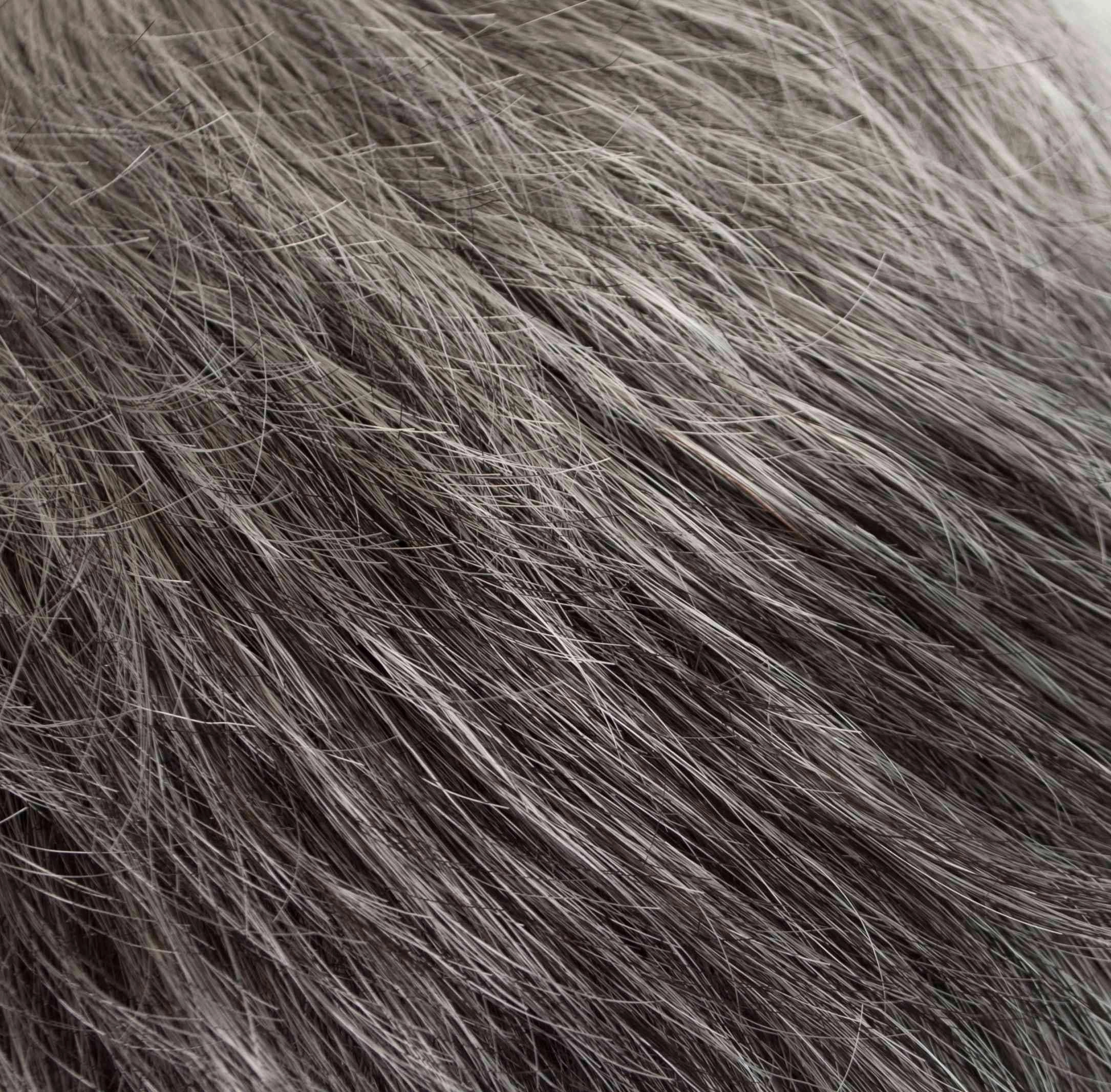 Quartette Hairpiece by Tony of Beverly | Synthetic Hair (Honeycomb Base) | Clearance Sale